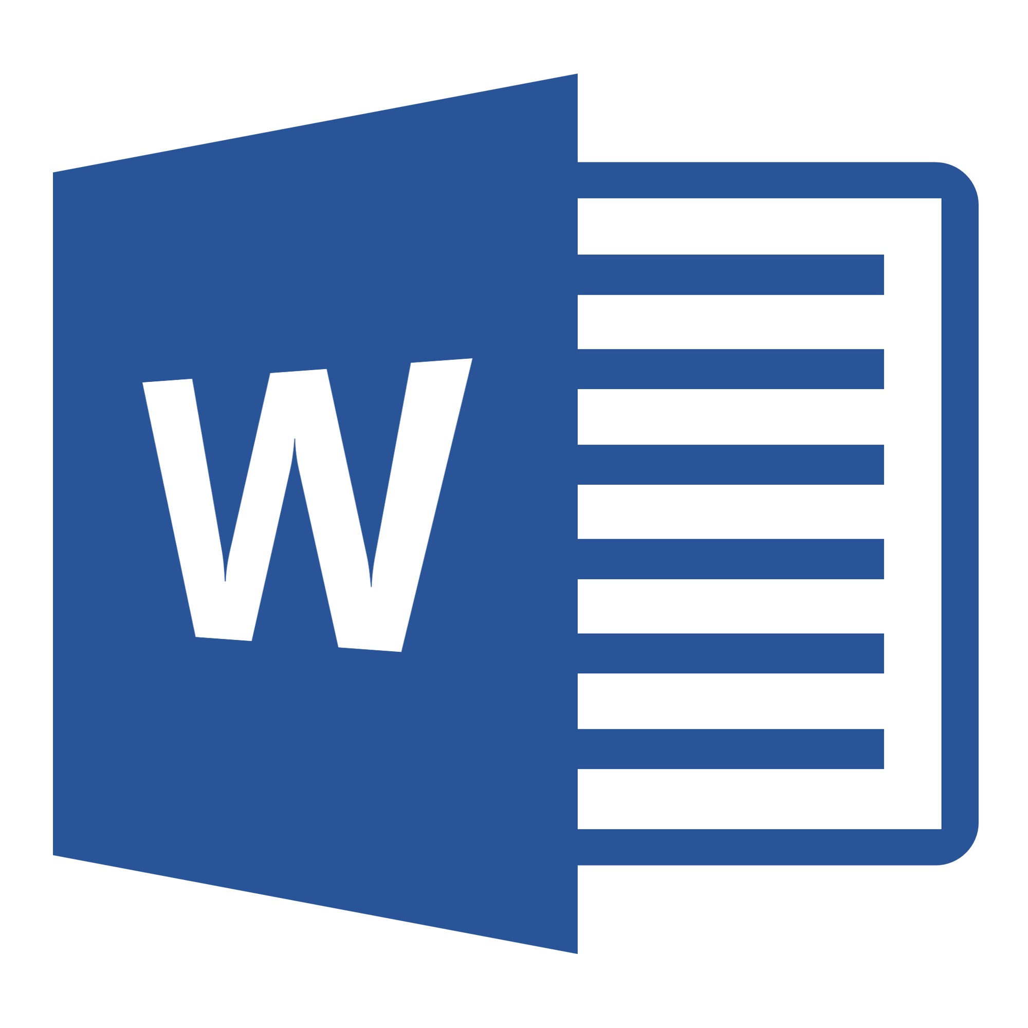 Formation Microsoft Word